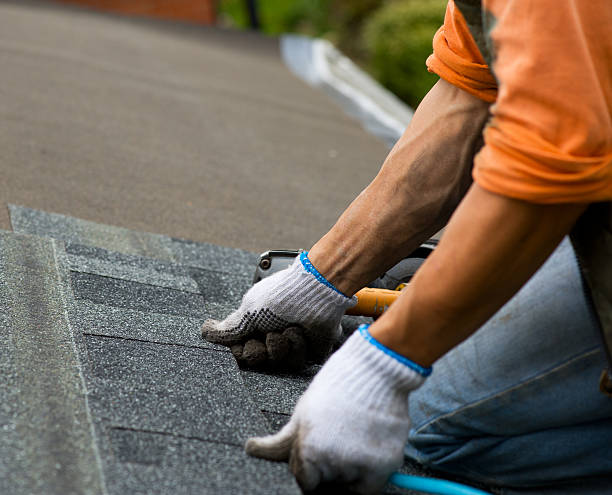 Best Flat Roof Repair Services  in Charlestown, IN